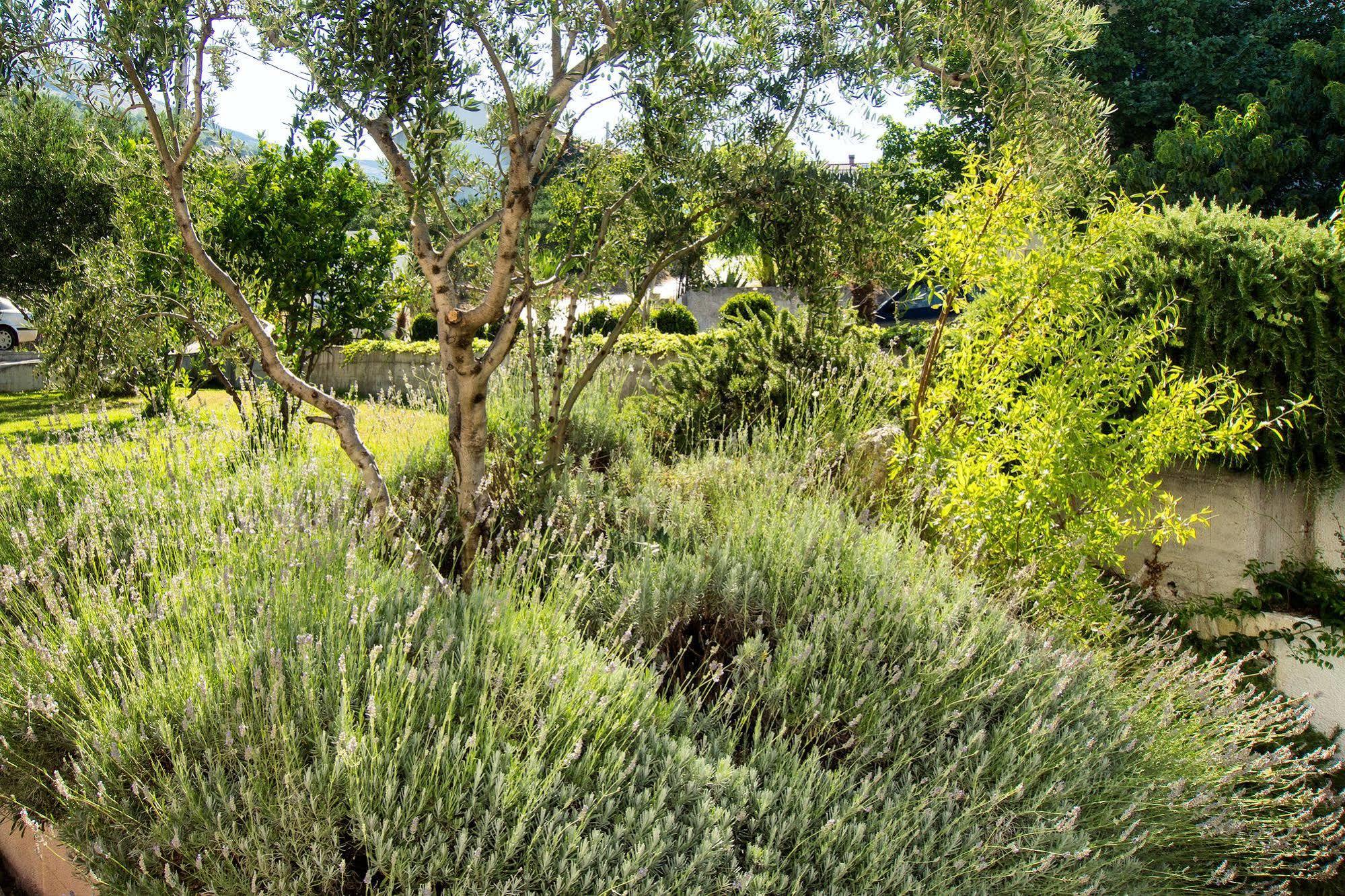 Villa Lavanda 珀德垂那 外观 照片